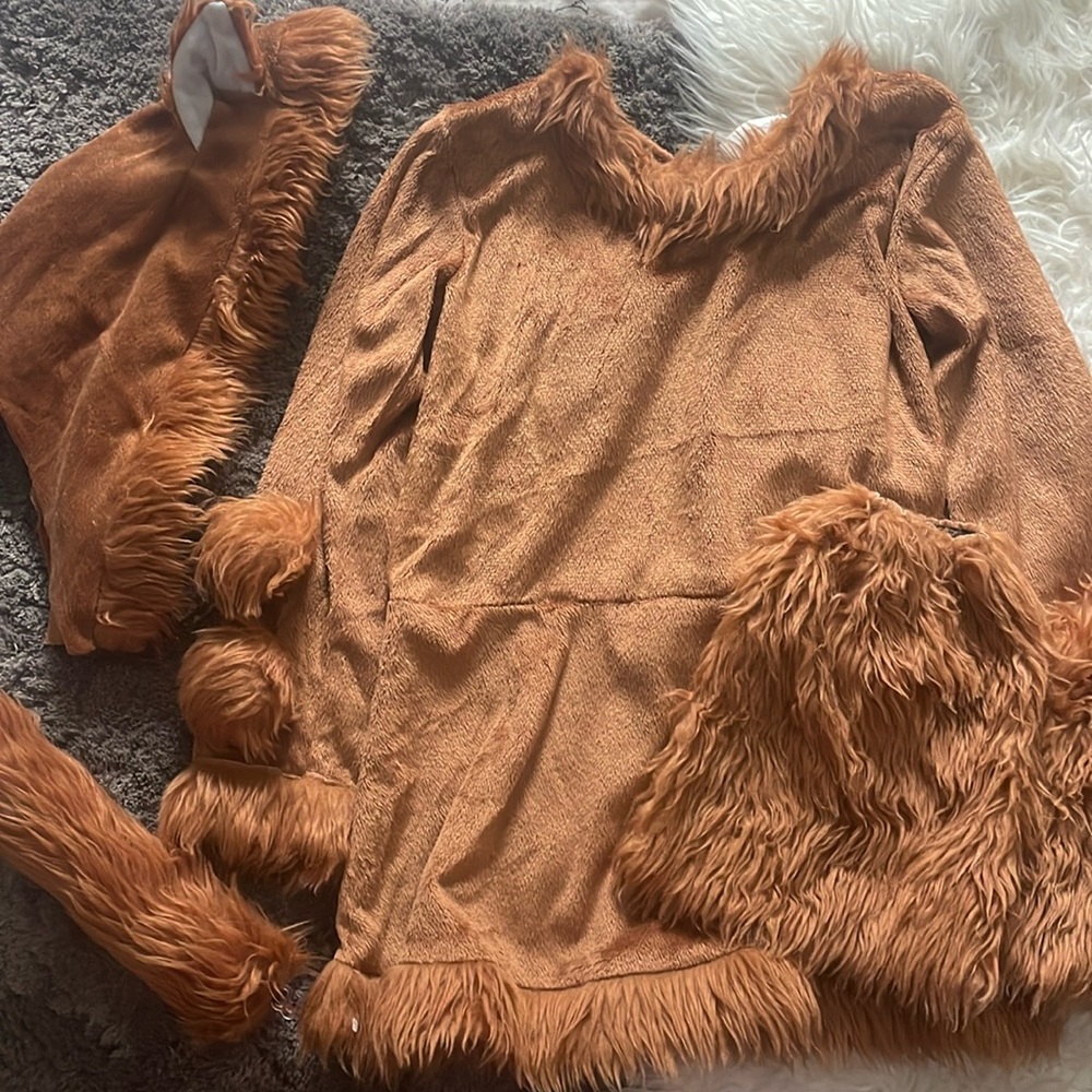 Size Small Child Fox Costume 4-6
